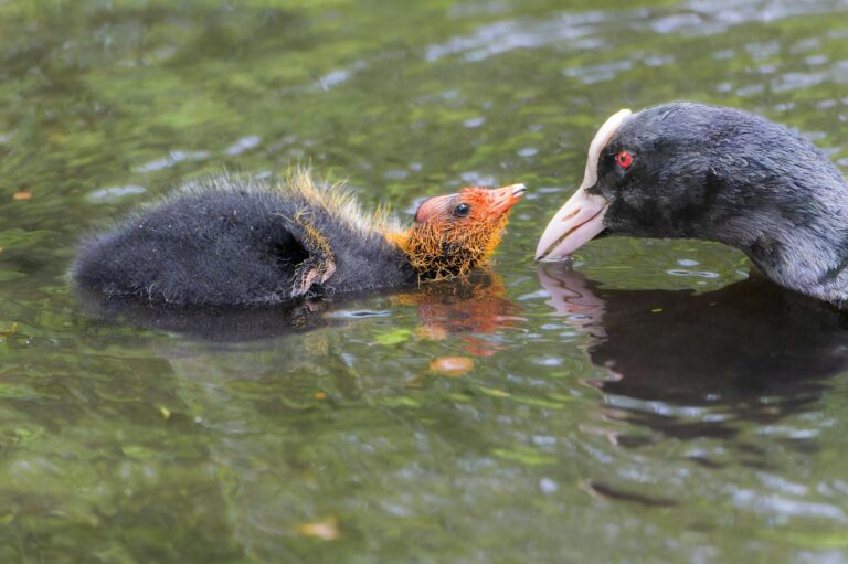 Eltern lernen gemeinsam den Familienalltag zu meistern und Zusammenhalt zu stärken