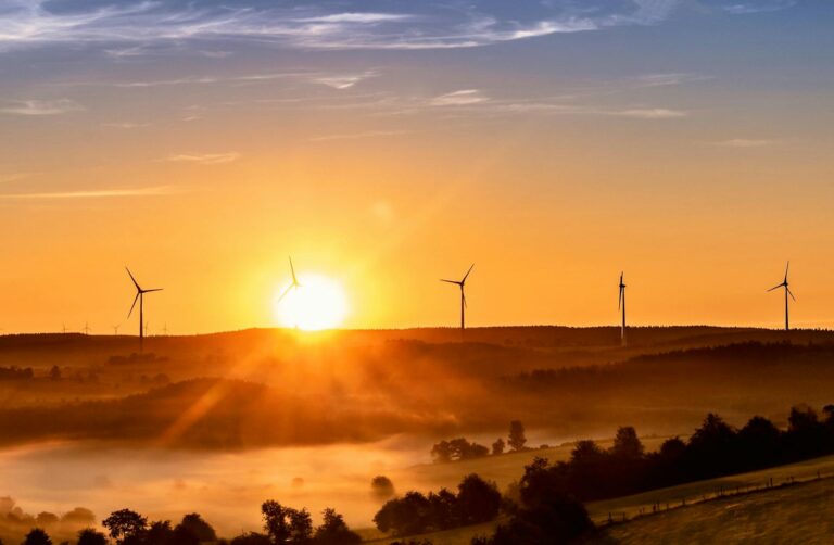 Schwangere Frau tankt neue Energie beim entspannten Spaziergang im Grünen