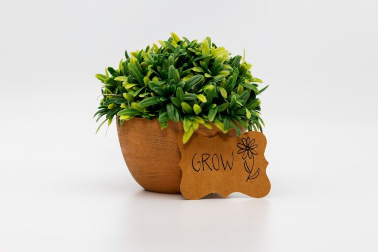 Baby in liebevoller Obhut für gesundes Wachstum und optimale Entwicklung