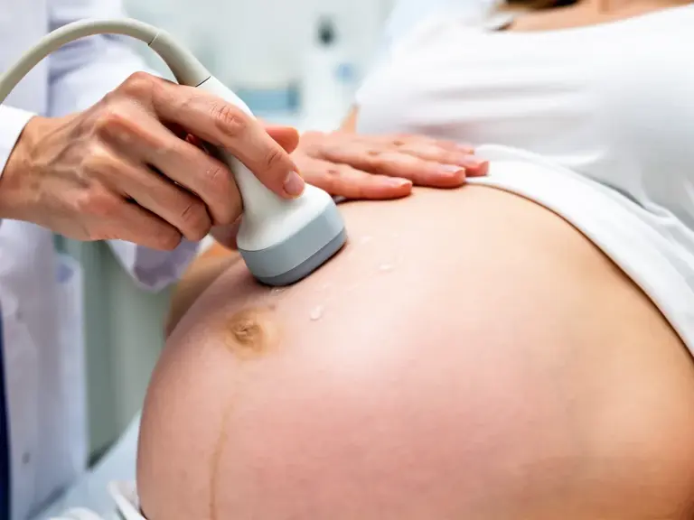 Biometrie Ultraschall: Messungen zur Überwachung der Entwicklung von Babys