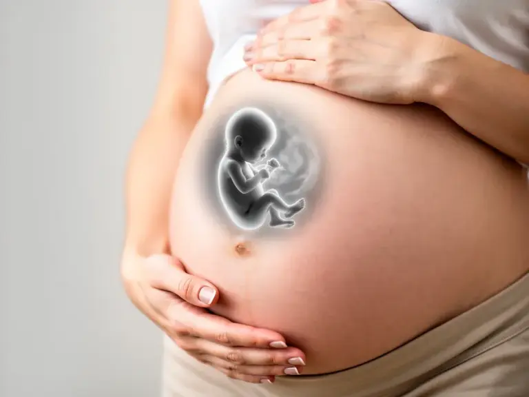 Ultraschallbilder in jeder Schwangerschaftswoche zur Entwicklung des Ungeborenen verstehen